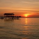 Sharon Valenti - @SharonValenti - Twitter