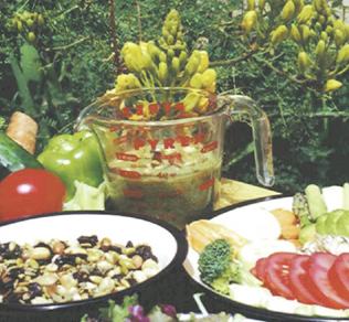 magocafe's profile picture. こんにちは！　楽しくつぶやいていきます～。写真はセドナの美味しいオーガニックフーズ！！