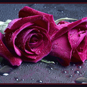 BESIN (@099621) Twitter