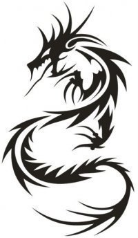 totus6's profile picture. 