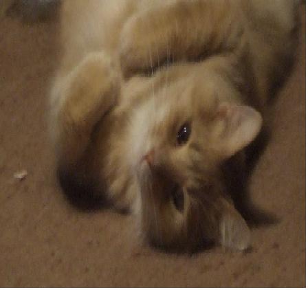 Tasiax's profile picture. 