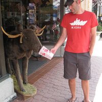 bill passonno (@wcpassonno) 's Twitter Profile