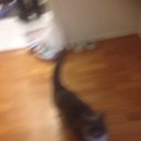 wes keaton - @KeatonWes - Twitter