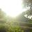 lucia13035's profile image