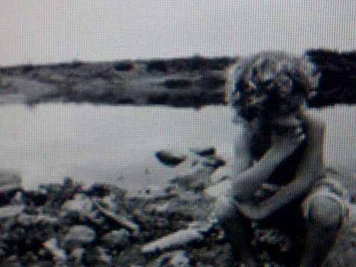 noakhateb's profile picture. 