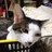 Patapata_san's profile image