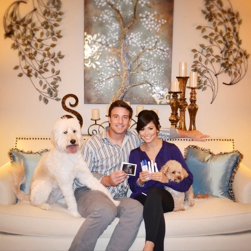 DaineStocker's profile picture. 