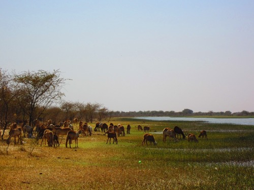 Data, development & nature conservation buff with @UNDPaf. Previously w/ UNDP in Sudan & Nigeria. Views are my own. Retweets ≠ endorsements.