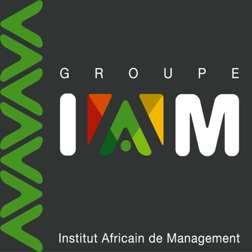 Groupe IAM