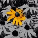 Julie Brazier - @jabtabs - Twitter