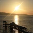 Chris Concha - @chrisconcha - Twitter