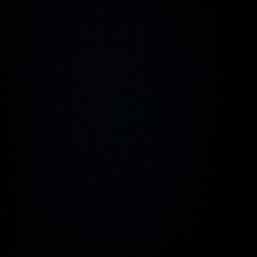 FreyaSeale's profile picture. 