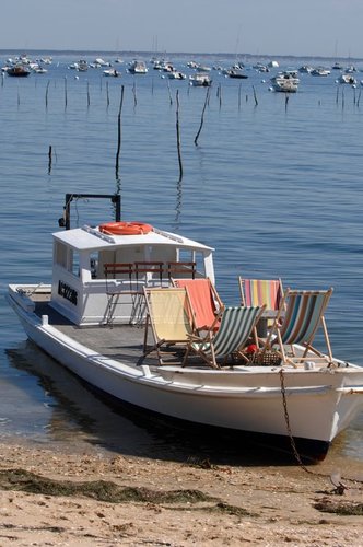 baladechaland's profile picture. Découvrez le Bassin d'Arcachon à bord d'un authentique chaland ostréicole en bois! Ile aux Oiseaux, Banc d'Arguin, Dune du Pyla, c'est vous qui décidez!