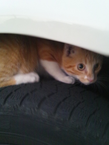 matyan0041's profile picture. es