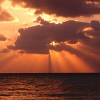 とりにく入れられない (@garlic55) 's Twitter Profile Photo