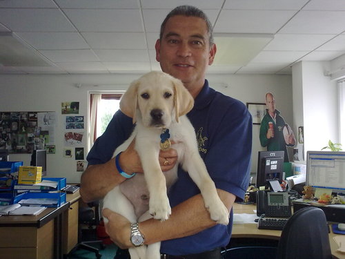 TerryGuideDogs's profile picture. Engagement Manager for Guide Dogs for the Blind Association.