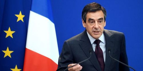 teamfillon02's profile picture. 