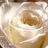 Al.fajer (@fjory2) Twitter profile photo