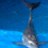 simb86's profile image