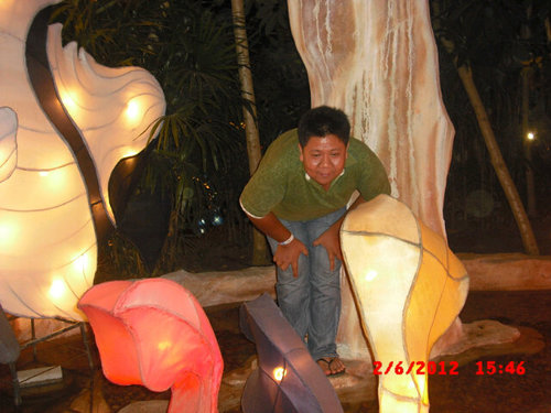26977E75 or YM=jim_hamijaya80
