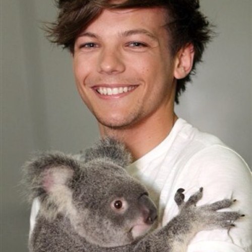 NiamForeveerr's profile picture. I am A Canadian and I love One D :)