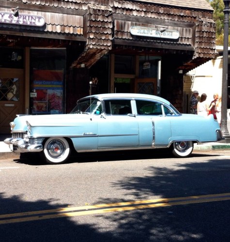 terranceF99's profile picture. 