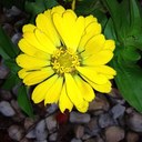 Arnold Kaplan - @ArnoldKaplan - Twitter