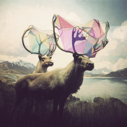 N.D. Publishing  Profile