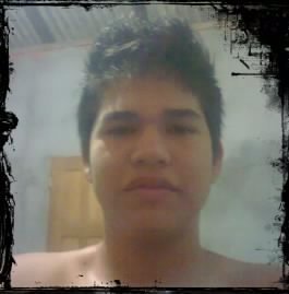 Sou FLAMENGO até MORRER.   meu outro perfil: @TheArlinsonFla