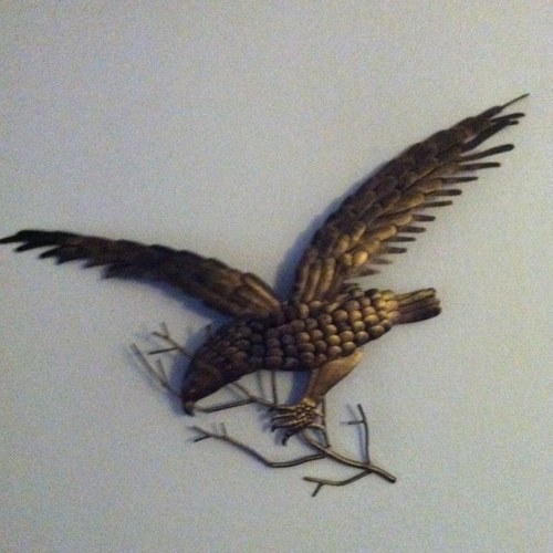 pnwgirl829's profile picture. God bless all USA patriots, r worthy military n Veterans n allies. i want my country back. Retweets for information. Single over 50.