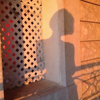 yasmine khayyat (@ykhayyat) 's Twitter Profile