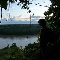 Roxana P Arauco (@araucorp) 's Twitter Profile