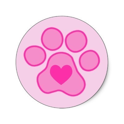 https://t.co/EtYlypLGpG A pet store é uma fan page onde trás as ultimas novidades de jóias para quem é apaixonado pelos animais!!