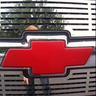 shaynesinbox's profile picture. 