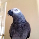 Guy Simpson - @GuySimpson1 - Twitter