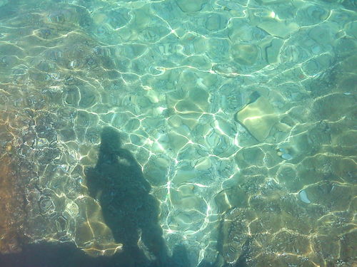 AntonelaNizetic's profile picture. 