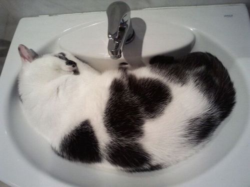 RamonRossell's profile picture. 