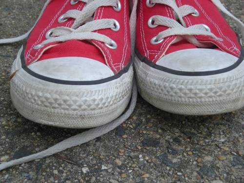 randomkiwibird's profile picture. Spontaneous Combustion is bad for your health.