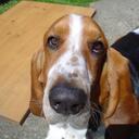 Simon Stratford - @stratty31 - Twitter