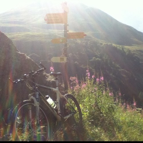 NielsOrij's profile picture. 