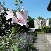 Marianne Stuit (@giethoorn) 's Twitter Profile