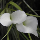 Marisa Alvarez Pasos - @Marisalvarezp - Twitter