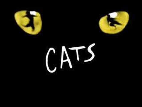 CatsTheFilm_'s profile picture. 