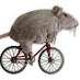 rats (@ratsbey) Twitter profile photo rats (@ratsbey) Twitter profile photo