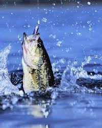 we supply items for all sorts of outdoor activities at very cheap reasonable prices, all orders are free shipping worldwide
