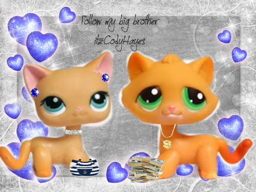 OkamisloveLPS13's profile picture. Hi this is the official Brianna Hayes account Im 16 im friends with katty and tigerdawn my bro and sis is cody and brooke