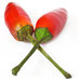 Estudio Picante (@estudiopicante) Twitter profile photo Estudio Picante (@estudiopicante) Twitter profile photo