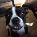 william kindle - @Kindle03 - Twitter