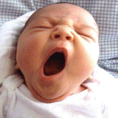 josh11219's profile picture. 