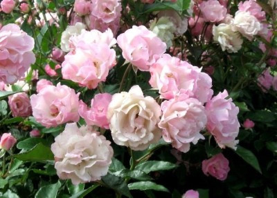 sol87140's profile picture. 